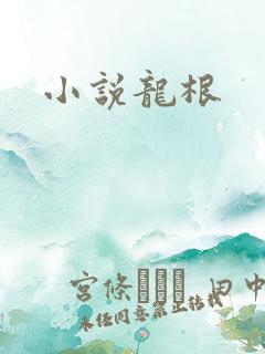 小说龙根