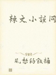 辣文小说网