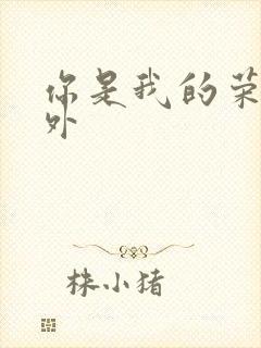 你是我的荣耀番外