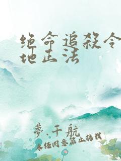 绝命追杀令2就地正法