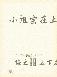 小祖宗在上