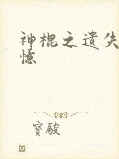 神棍之遗失的记忆