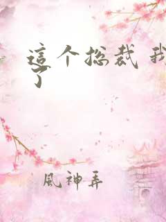 这个总裁 我要了