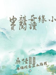 内裤奇缘小说免费阅读