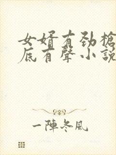 女婿有劲枪枪到底有声小说