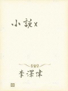 小说x