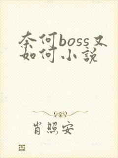 奈何boss又如何小说
