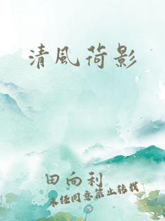 清风荷影