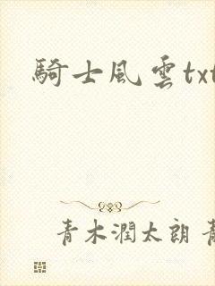 骑士风云txt