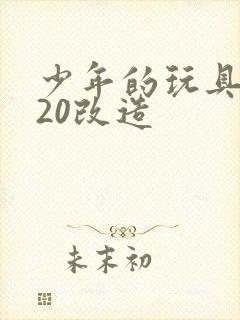 少年的玩具1一20改造