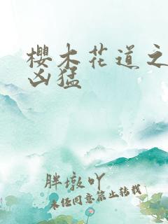 樱木花道之重生凶猛