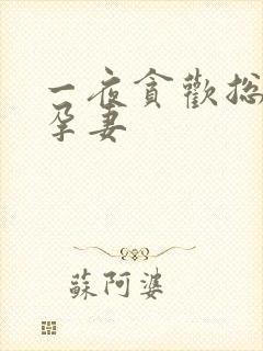 一夜贪欢总裁幸孕妻