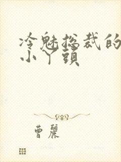 冷魅总裁的纯纯小丫头