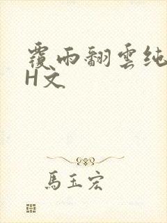 覆雨翻云纯肉高H文