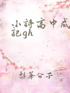 小诗高中成长日记gh