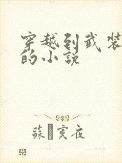 穿越到武装少女的小说