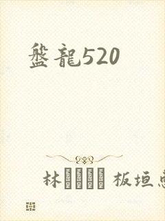 盘龙520