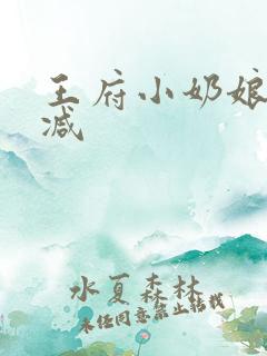 王府小奶娘未删减