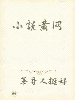 小说黄网