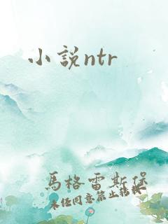 小说ntr