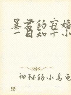 暴君的宠婚日常一日知千小说免费