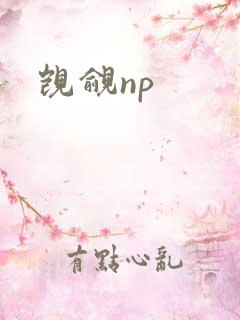 觊觎np