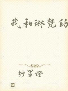 我和琳梵的故事