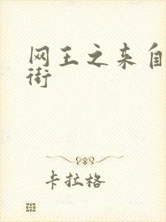 网王之来自流星街