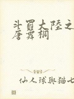 斗罗大陆之肉奴唐舞桐