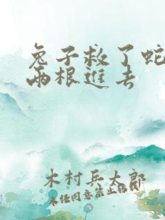 兔子救了蛇被蛇两根进去