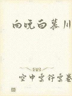 向晚白慕川