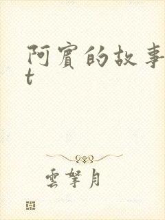 阿宾的故事txt