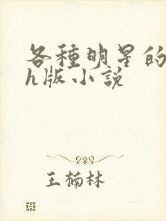 各种明星的综艺h版小说