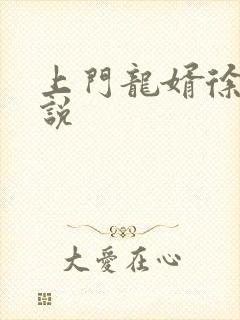 上门龙婿徐阳小说