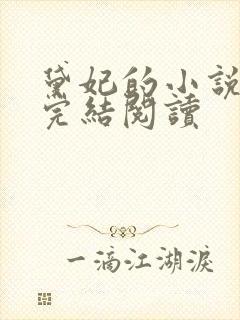 黛妃的小说全文完结阅读