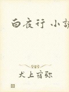 白夜行 小说