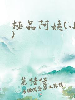 极品阿姨(小说)