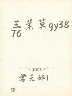 三叶草gy3876