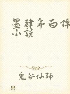 墨肆年白锦瑟 小说