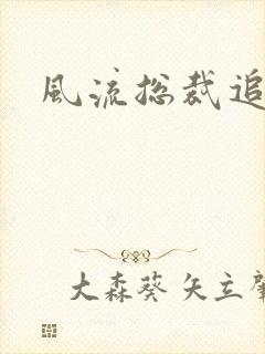 风流总裁追妻记