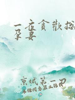 一夜贪欢总裁幸孕妻