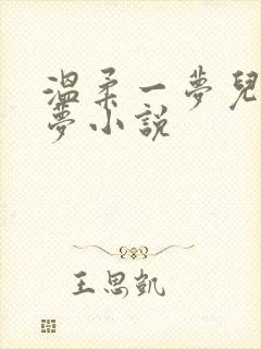 温柔一梦儿媳林梦小说