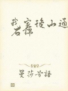 我家后山通仙界石锦