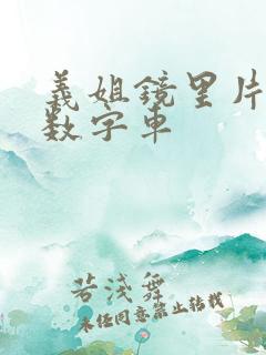 义姐镜里片微博数字车