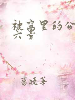 被窝里的公息第六章