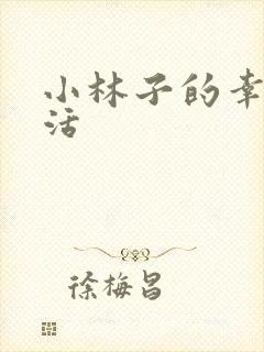 小林子的幸福生活