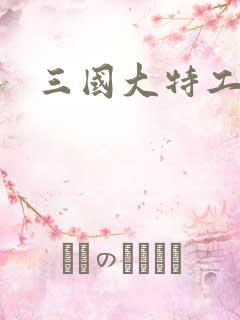 三国大特工
