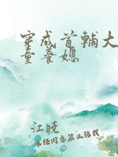 穿成首辅大人的童养媳