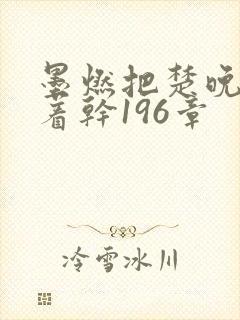 墨燃把楚晚宁按着干196章