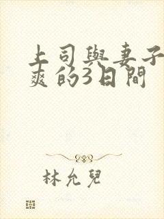 上司与妻子干到爽的3日间